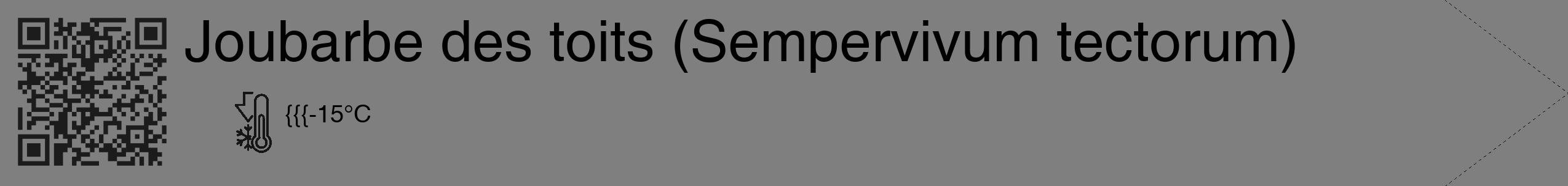 Étiquette de : Sempervivum tectorum - format c - style noire31_simple_simplehel avec qrcode et comestibilité