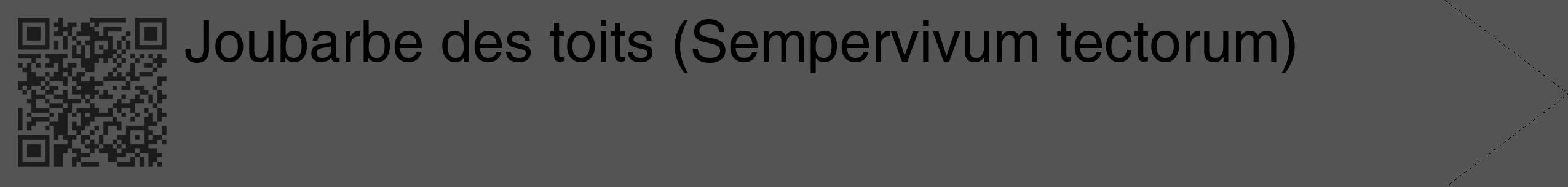 Étiquette de : Sempervivum tectorum - format c - style noire30_simple_simplehel avec qrcode et comestibilité