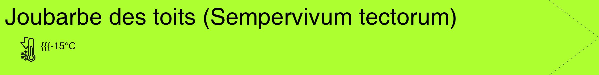 Étiquette de : Sempervivum tectorum - format c - style noire17_simple_simplehel avec comestibilité