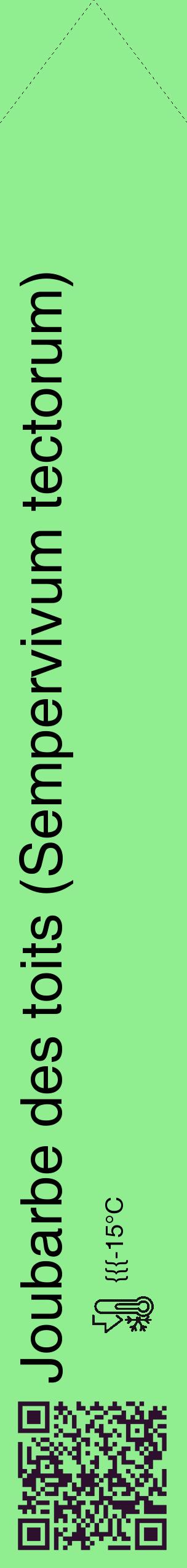 Étiquette de : Sempervivum tectorum - format c - style noire15_simple_simplehel avec qrcode et comestibilité - position verticale