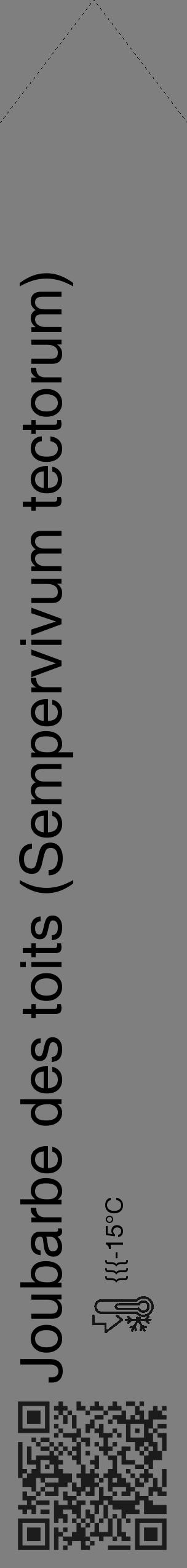 Étiquette de : Sempervivum tectorum - format c - style noire31_simple_simplehel avec qrcode et comestibilité - position verticale