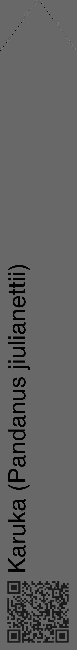 Étiquette de : Pandanus jiulianettii - format c - style noire6_simple_simplehel avec qrcode et comestibilité - position verticale