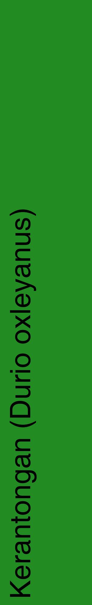 Étiquette de : Durio oxleyanus - format c - style noire10_basiquehel avec comestibilité