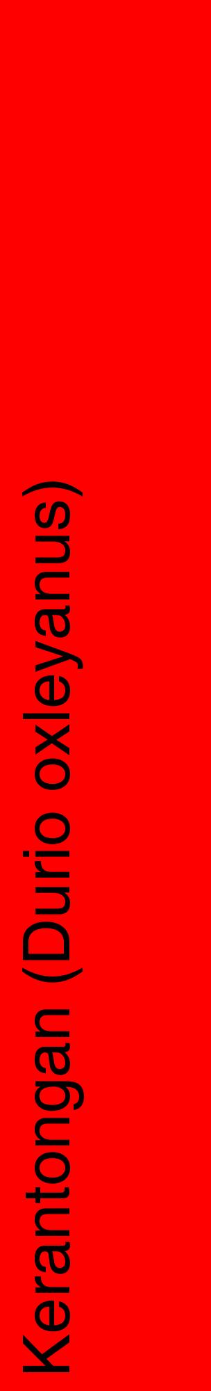 Étiquette de : Durio oxleyanus - format c - style noire27_basiquehel avec comestibilité