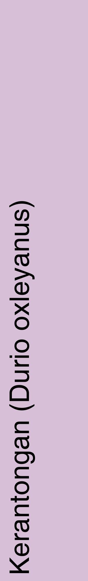 Étiquette de : Durio oxleyanus - format c - style noire54_basiquehel avec comestibilité