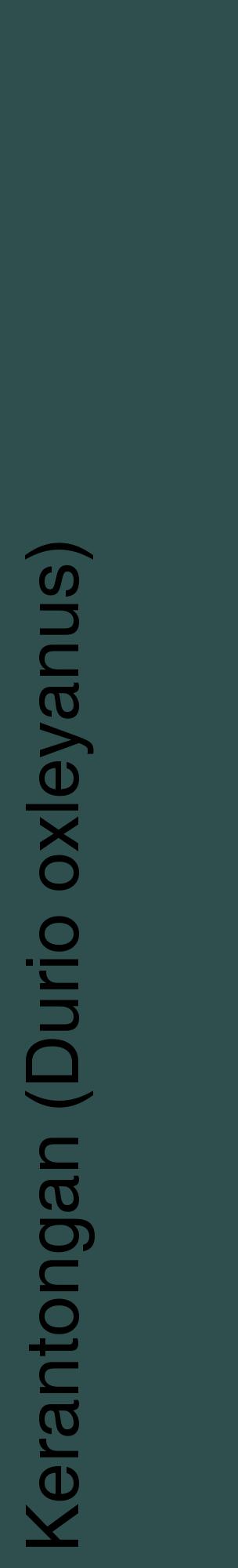 Étiquette de : Durio oxleyanus - format c - style noire58_basiquehel avec comestibilité