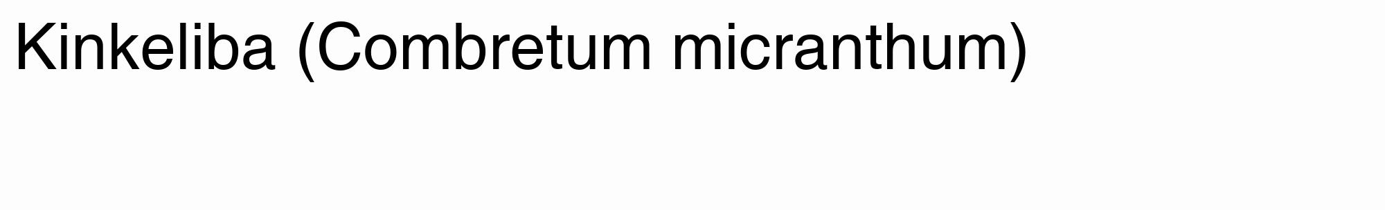 Étiquette de : Combretum micranthum - format c - style noire19_basique_basiquehel avec comestibilité