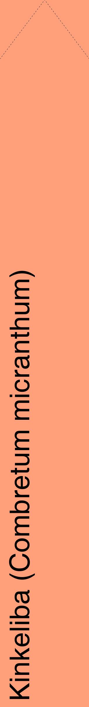 Étiquette de : Combretum micranthum - format c - style noire39_simplehel avec comestibilité