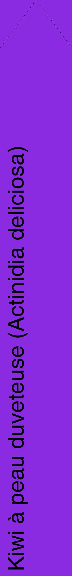 Étiquette de : Actinidia deliciosa - format c - style noire49_simplehel avec comestibilité