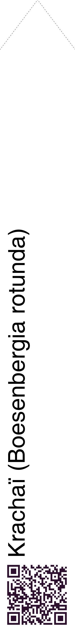 Étiquette de : Boesenbergia rotunda - format c - style noire60_simplehel avec qrcode et comestibilité