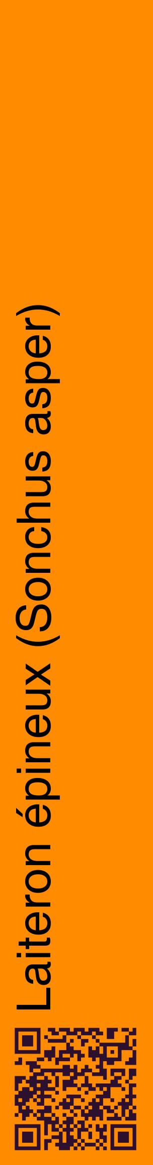 Étiquette de : Sonchus asper - format c - style noire23_basiquehel avec qrcode et comestibilité