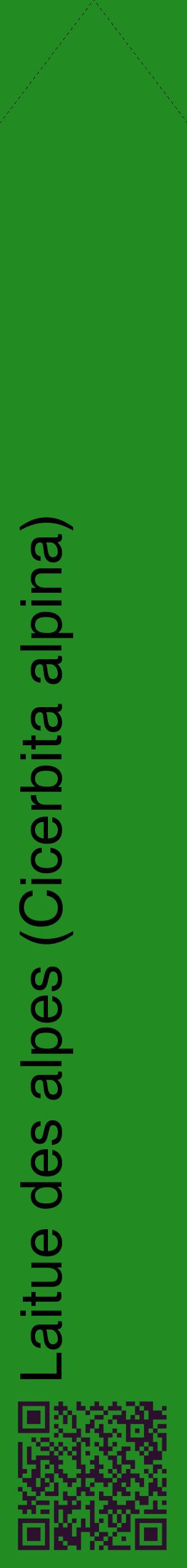 Étiquette de : Cicerbita alpina - format c - style noire10_simplehel avec qrcode et comestibilité