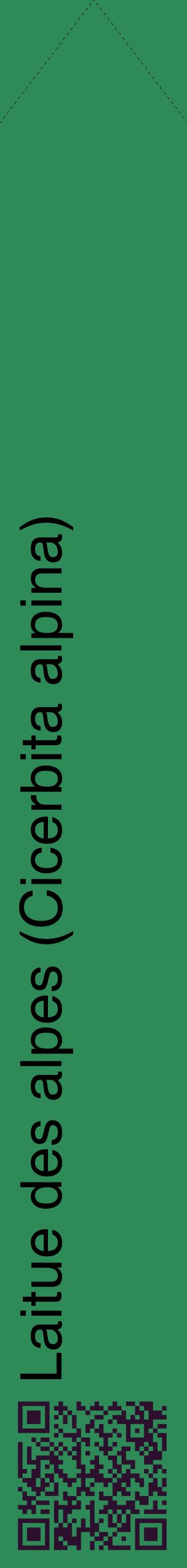 Étiquette de : Cicerbita alpina - format c - style noire11_simplehel avec qrcode et comestibilité