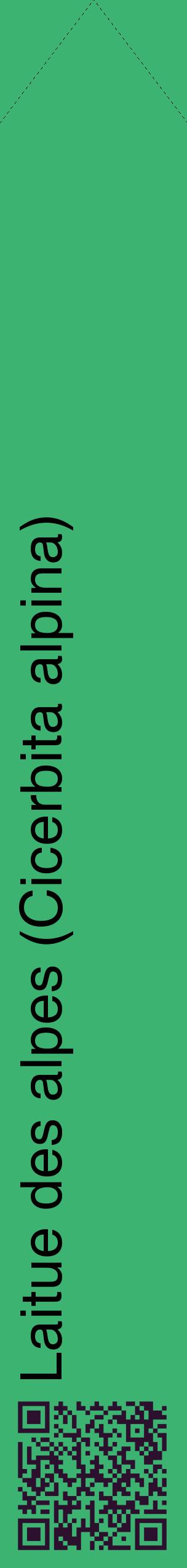 Étiquette de : Cicerbita alpina - format c - style noire12_simplehel avec qrcode et comestibilité