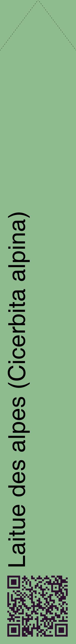 Étiquette de : Cicerbita alpina - format c - style noire13_simplehel avec qrcode et comestibilité