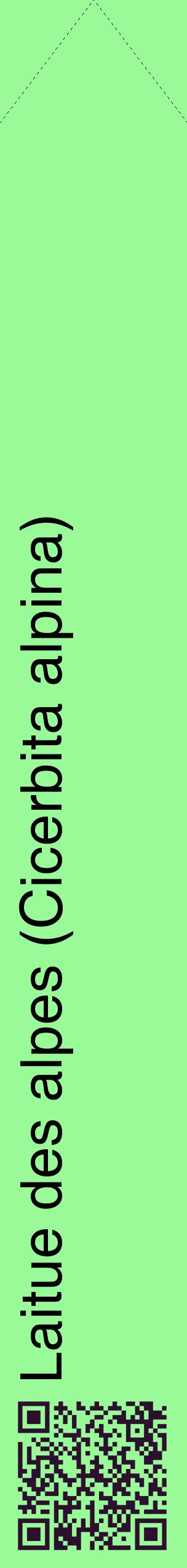 Étiquette de : Cicerbita alpina - format c - style noire14_simplehel avec qrcode et comestibilité