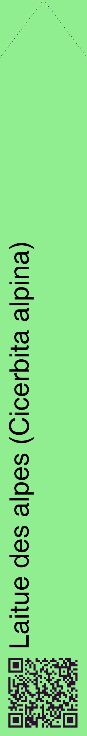 Étiquette de : Cicerbita alpina - format c - style noire15_simplehel avec qrcode et comestibilité