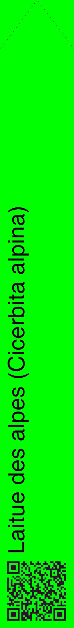 Étiquette de : Cicerbita alpina - format c - style noire16_simplehel avec qrcode et comestibilité