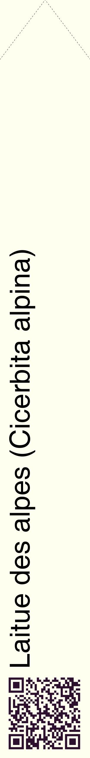 Étiquette de : Cicerbita alpina - format c - style noire19_simplehel avec qrcode et comestibilité