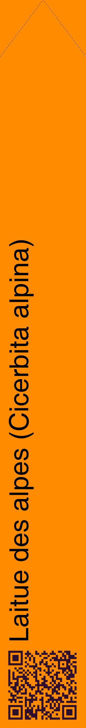 Étiquette de : Cicerbita alpina - format c - style noire23_simplehel avec qrcode et comestibilité