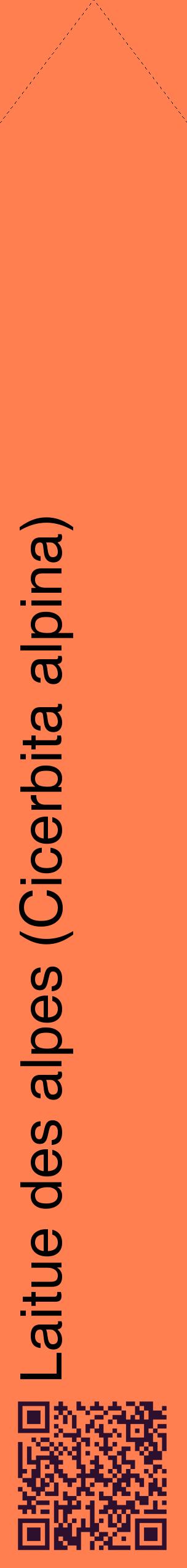 Étiquette de : Cicerbita alpina - format c - style noire24_simplehel avec qrcode et comestibilité