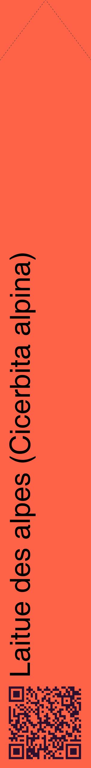 Étiquette de : Cicerbita alpina - format c - style noire25_simplehel avec qrcode et comestibilité