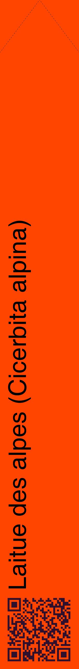 Étiquette de : Cicerbita alpina - format c - style noire26_simplehel avec qrcode et comestibilité