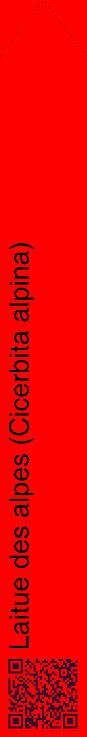 Étiquette de : Cicerbita alpina - format c - style noire27_simplehel avec qrcode et comestibilité
