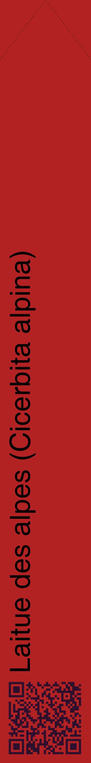 Étiquette de : Cicerbita alpina - format c - style noire28_simplehel avec qrcode et comestibilité