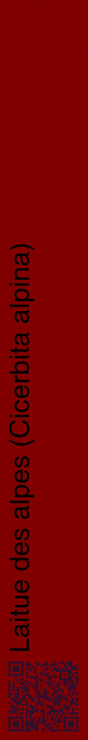 Étiquette de : Cicerbita alpina - format c - style noire29_simplehel avec qrcode et comestibilité