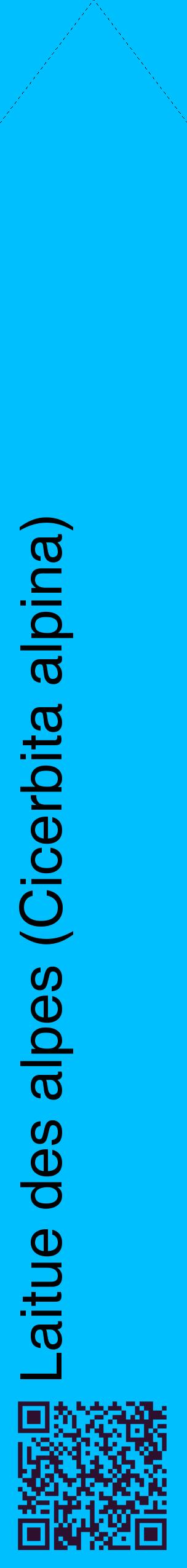 Étiquette de : Cicerbita alpina - format c - style noire2_simplehel avec qrcode et comestibilité
