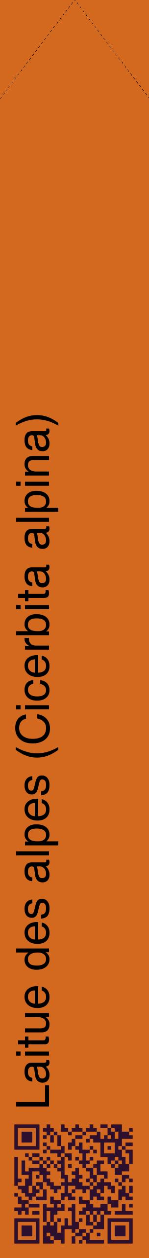 Étiquette de : Cicerbita alpina - format c - style noire31_simplehel avec qrcode et comestibilité