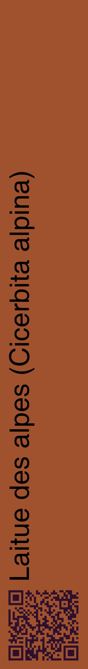 Étiquette de : Cicerbita alpina - format c - style noire32_basiquehel avec qrcode et comestibilité