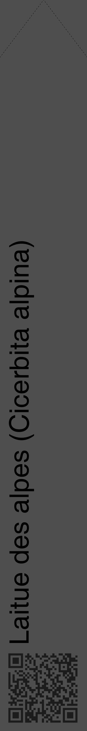 Étiquette de : Cicerbita alpina - format c - style noire33_simple_simplehel avec qrcode et comestibilité - position verticale