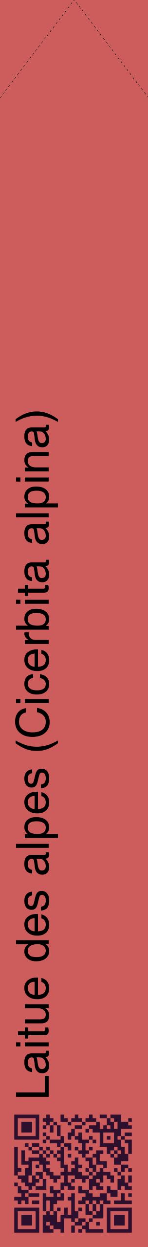 Étiquette de : Cicerbita alpina - format c - style noire35_simplehel avec qrcode et comestibilité