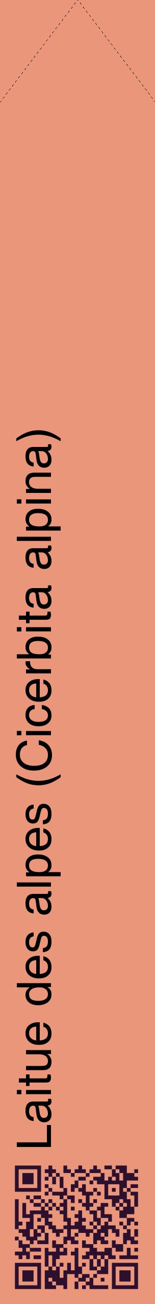 Étiquette de : Cicerbita alpina - format c - style noire37_simplehel avec qrcode et comestibilité