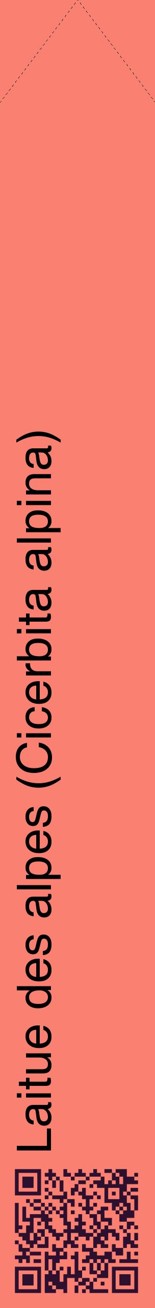 Étiquette de : Cicerbita alpina - format c - style noire38_simplehel avec qrcode et comestibilité