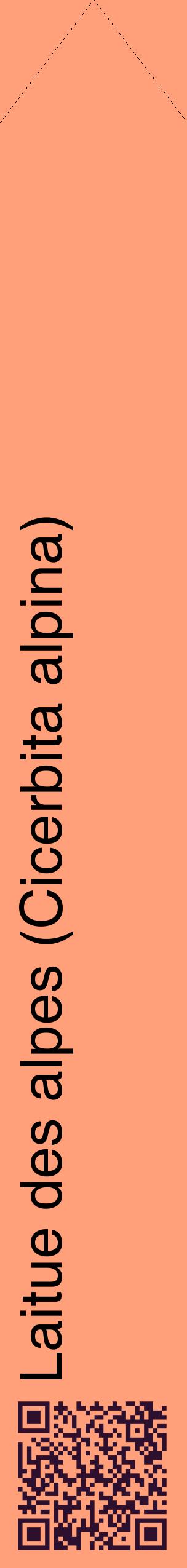 Étiquette de : Cicerbita alpina - format c - style noire39_simplehel avec qrcode et comestibilité