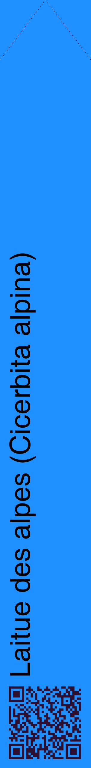 Étiquette de : Cicerbita alpina - format c - style noire3_simplehel avec qrcode et comestibilité