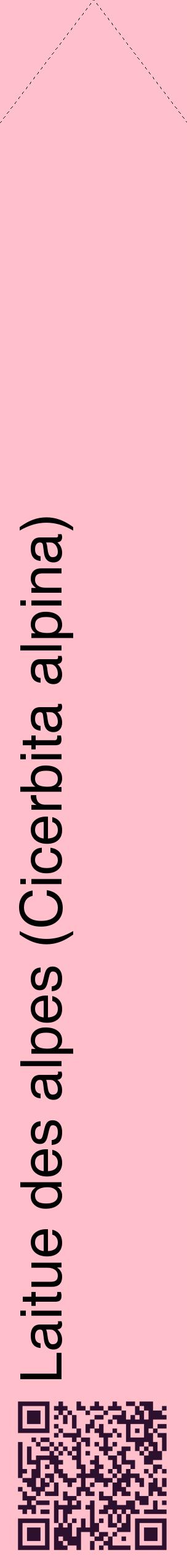 Étiquette de : Cicerbita alpina - format c - style noire40_simplehel avec qrcode et comestibilité