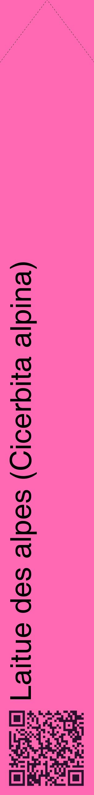 Étiquette de : Cicerbita alpina - format c - style noire42_simplehel avec qrcode et comestibilité