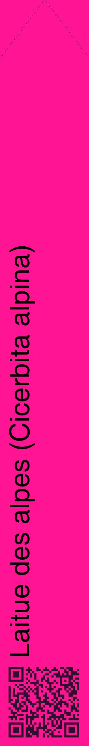 Étiquette de : Cicerbita alpina - format c - style noire43_simplehel avec qrcode et comestibilité