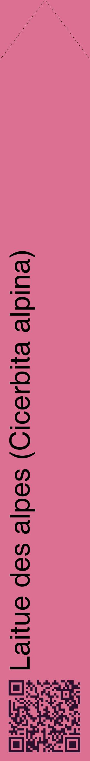 Étiquette de : Cicerbita alpina - format c - style noire44_simplehel avec qrcode et comestibilité