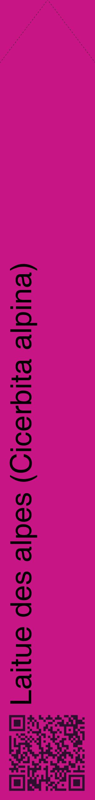 Étiquette de : Cicerbita alpina - format c - style noire45_simplehel avec qrcode et comestibilité