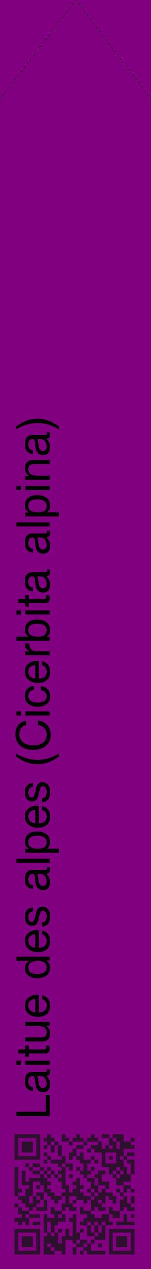 Étiquette de : Cicerbita alpina - format c - style noire46_simplehel avec qrcode et comestibilité