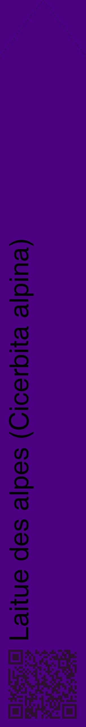 Étiquette de : Cicerbita alpina - format c - style noire47_simplehel avec qrcode et comestibilité