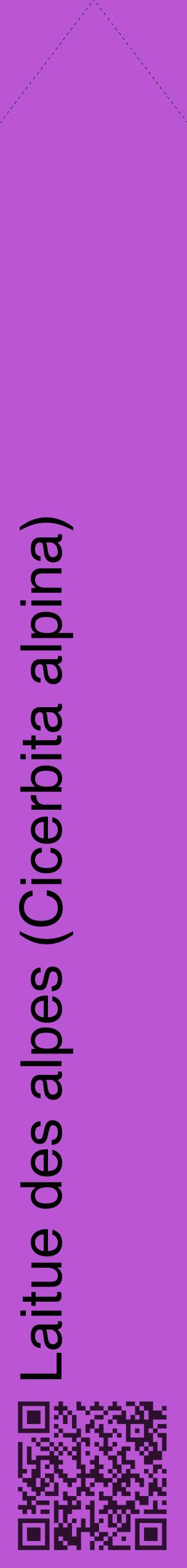 Étiquette de : Cicerbita alpina - format c - style noire50_simplehel avec qrcode et comestibilité