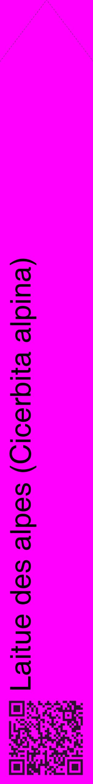 Étiquette de : Cicerbita alpina - format c - style noire51_simplehel avec qrcode et comestibilité