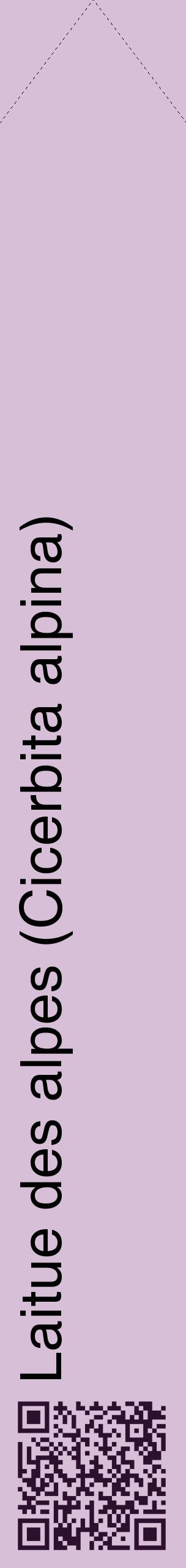 Étiquette de : Cicerbita alpina - format c - style noire54_simplehel avec qrcode et comestibilité