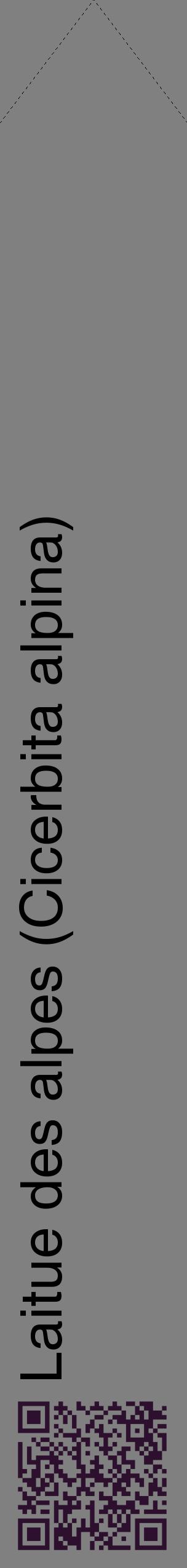Étiquette de : Cicerbita alpina - format c - style noire57_simplehel avec qrcode et comestibilité